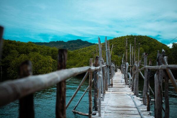 Bohol: 2-Day Tour With Accommodation in Anda and Meals - Asin Tibuok Factory Visit