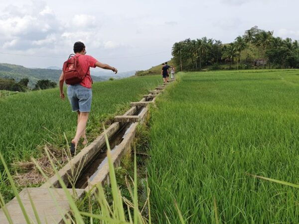 Bohol: 2-Day Tour With Accommodation in Anda and Meals - Common Questions
