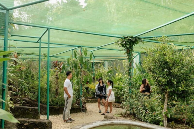 Bohol and Siquijor: 5-Day Guided Trip - Good To Know