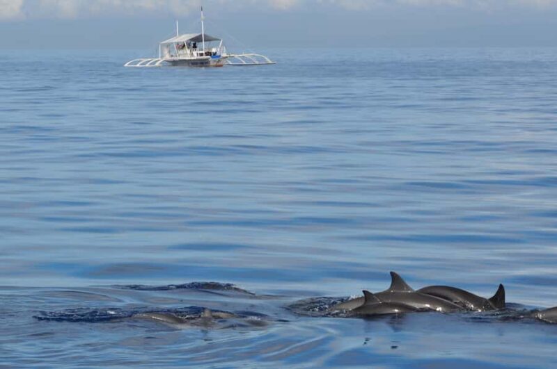 Bohol: Balicasag Boat Tour with extra snorkeling time - Good To Know  