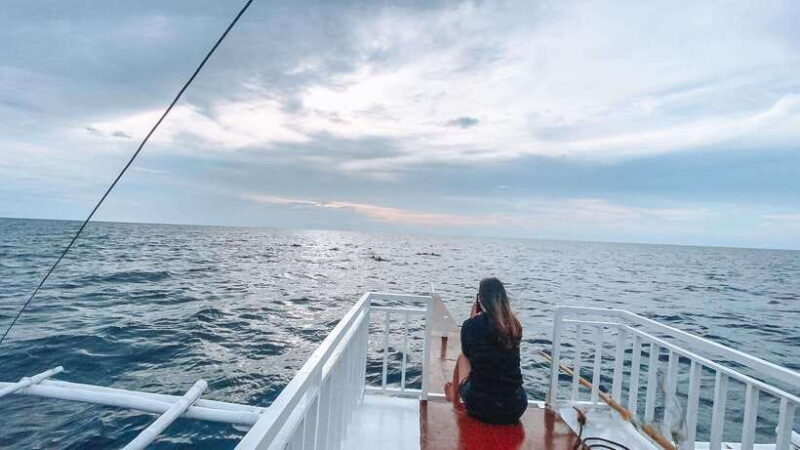 Bohol Balicasag Is Private Tour and Dolphin Watching - What to Expect from the Tour