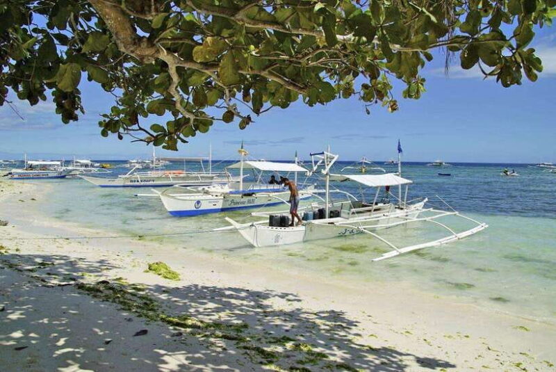Bohol Balicasag Is Private Tour and Dolphin Watching - The Value of the Tour