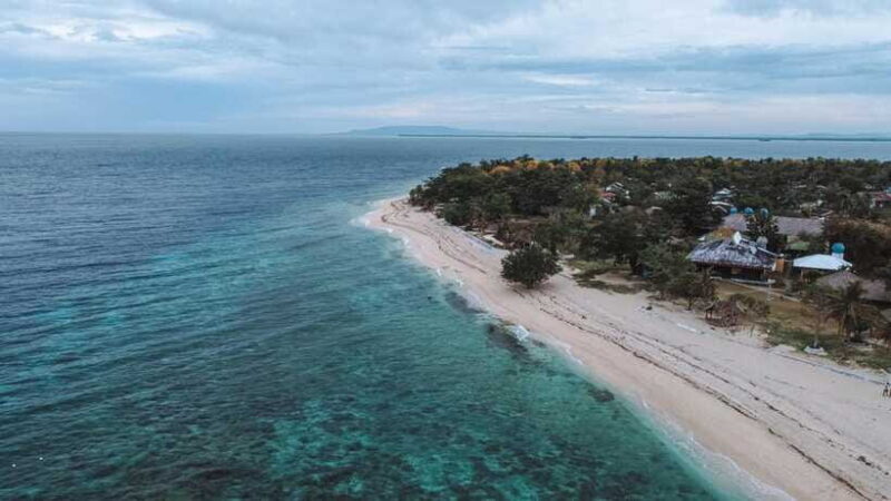 Bohol Balicasag Is Private Tour and Dolphin Watching - The Experience Provider: Ecotravelers Travel & Tours