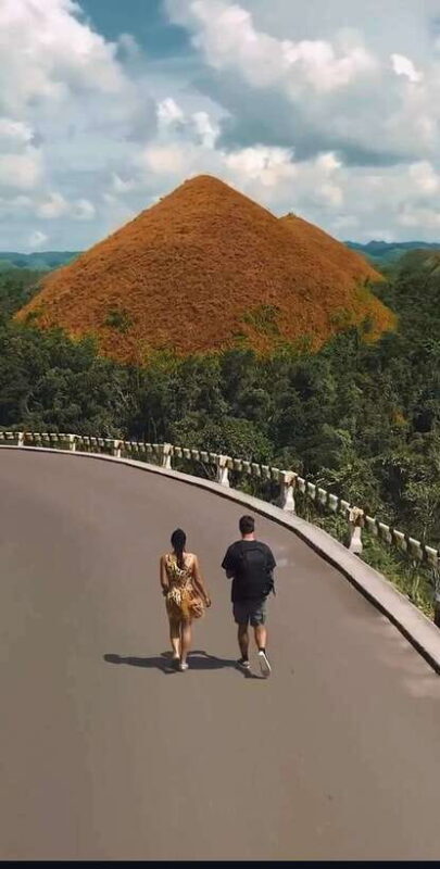 Bohol: Budget Chocolate Hills & Tarsiers -Backpacker Special - A Deep Dive into the Experience