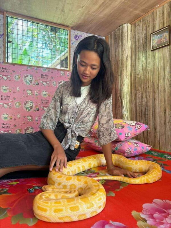 Bohol: Budgeted Countryside with Buffet Lunch Private Tour - The Sum Up