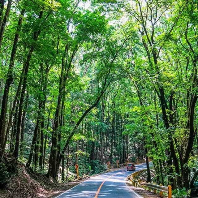 Bohol Choco Tour with Loboc River Lunch (Shared Tour) - Good To Know  