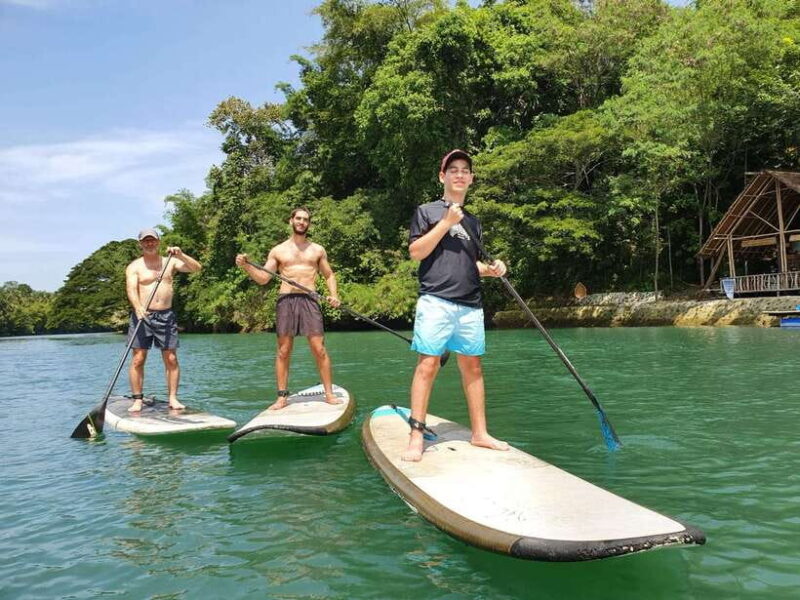 Bohol: Chocolate Hills and Countryside Tour - Who Will Love This Tour?