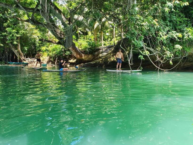 Bohol: Chocolate Hills and Countryside Tour - Final Thoughts
