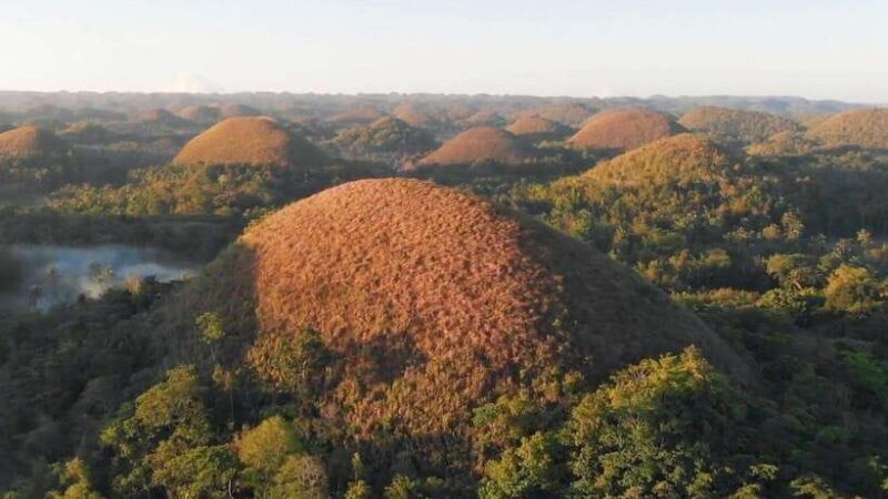 Bohol: Chocolate Hills, Loboc River Cruise, and Buffet Lunch - Wildlife Encounters and Additional Sights