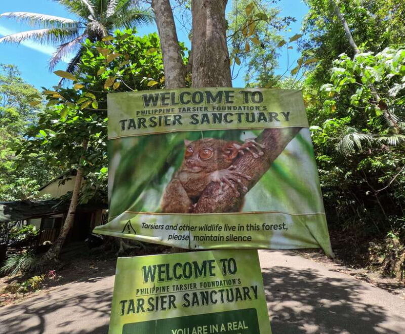 Bohol: Chocolate hills Private Eco-Tours - Why This Tour Offers Real Value