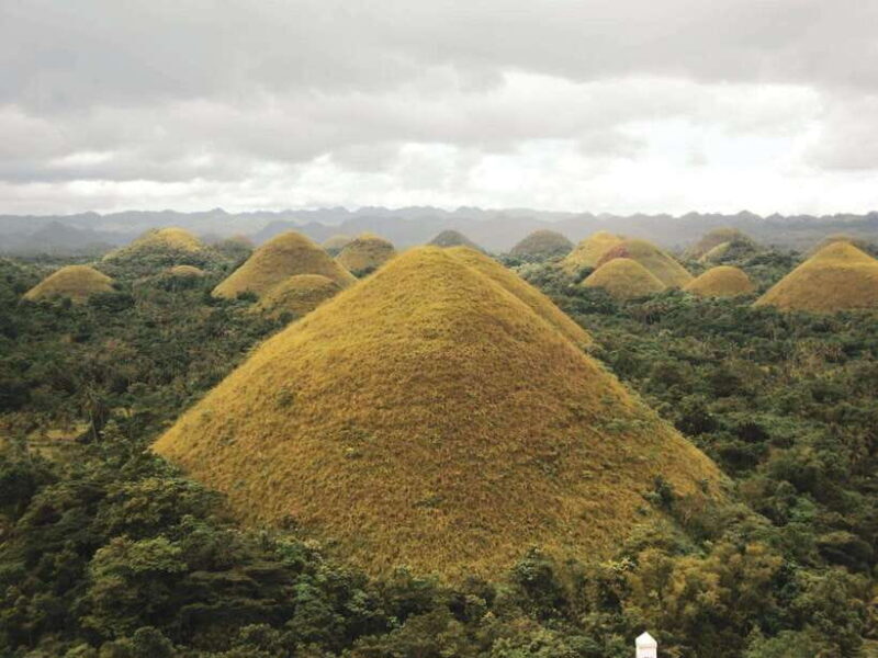 Bohol: Chocolate hills Private Eco-Tours - Who Will Love This Tour?
