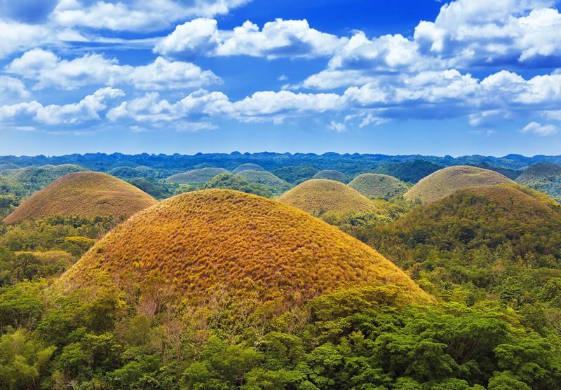 Bohol Chocolate Hills, Tarsier & River Cruise Experience - A private ride through Bohol’s countryside