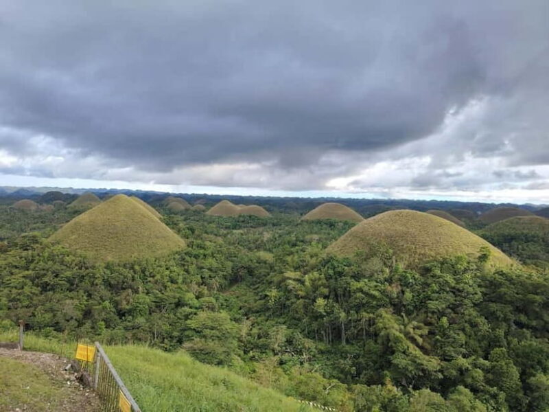 BOHOL: Chocolate Hills, Tarsiers and Loboc River Day Tour - Bohol: Chocolate Hills, Tarsiers and Loboc River Day Tour — A Complete Guide