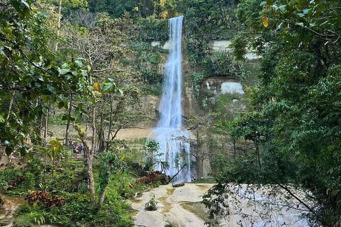Bohol Chocolate Hills, Tarsiers & Loboc River Private Tour - Loboc River Cruise: Scenic Dining
