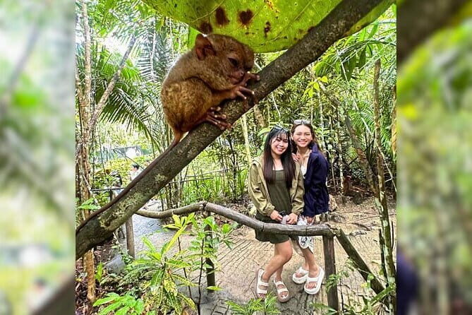 Bohol Chocolate Hills, Tarsiers & Loboc River Private Tour - A Closer Look at the Itinerary