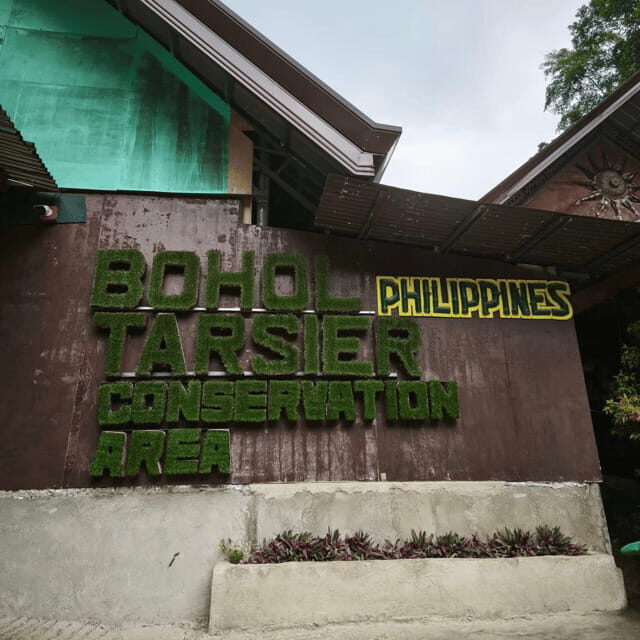 Bohol Chocolate Hills Tour with Loboc River Lunch Buffet - Good To Know