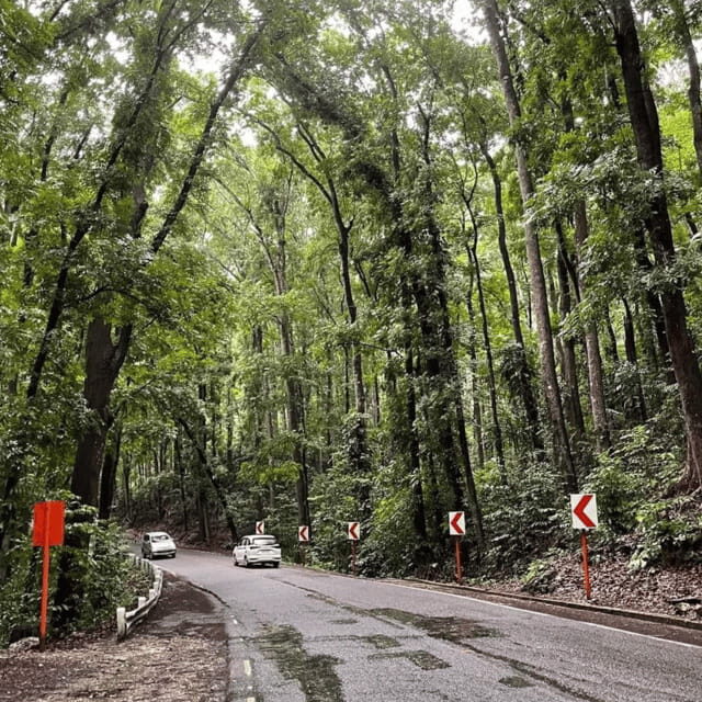 Bohol Chocolate Hills Tour with Loboc River Lunch Buffet - Good To Know