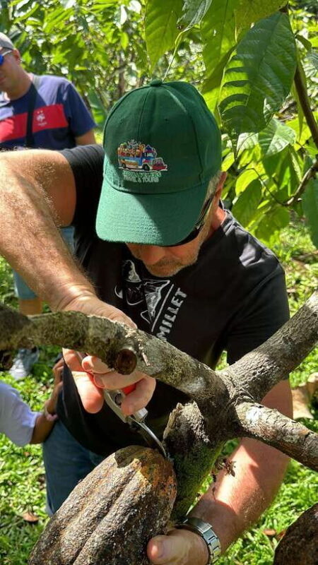 Bohol Chocolate Making and Farm Tour - Good To Know