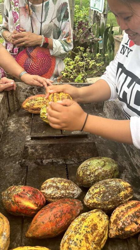 Bohol Chocolate Making and Farm Tour - Why This Tour Is a Good Value