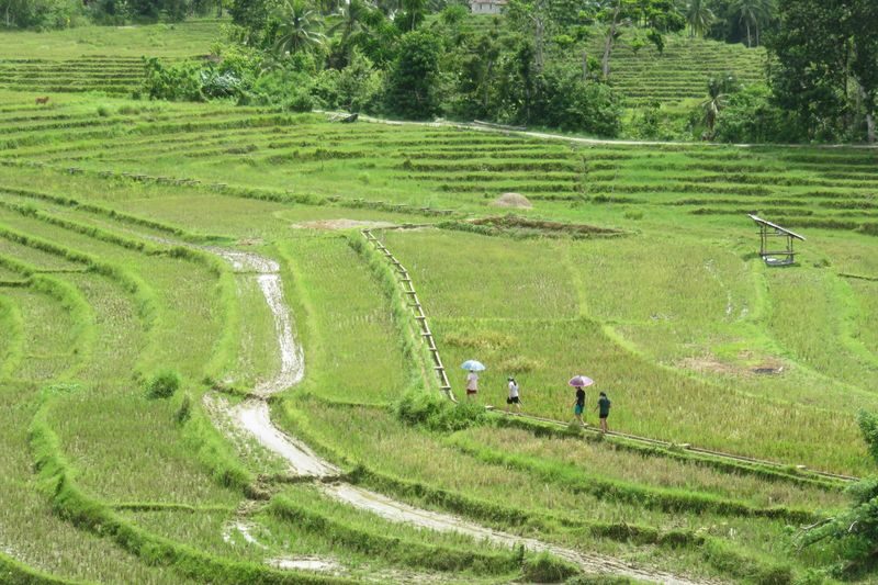 Bohol Combento Cave & Cadapdapan Rice Terraces Full-Day Tour - A long ride east, with a lot along the way