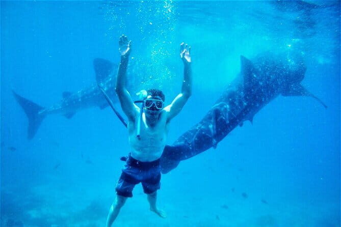 Bohol Country Side Tour - Private w/ Lunch - FAQs