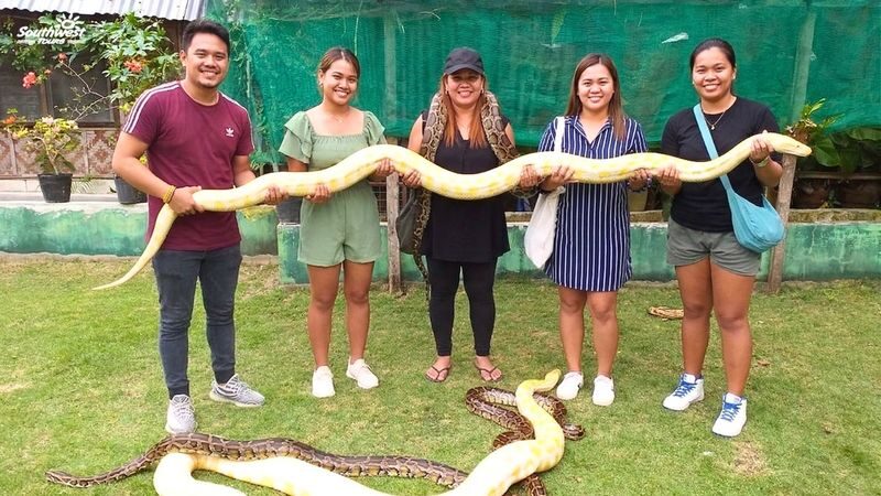 Bohol Countryside Tour by Southwest Tours - Tarsiers, forest and countryside stops