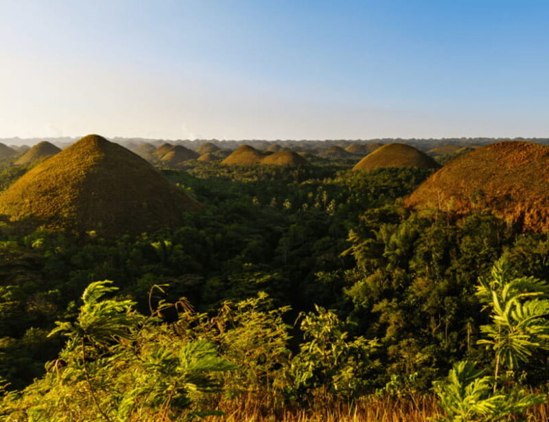 Bohol: Countryside Tour with Tarsiers and Chocolate Hills - Highlights Breakdown