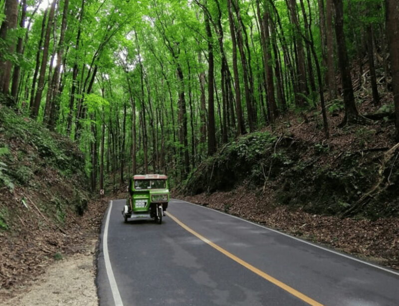 Bohol: Countryside Tour with Tarsiers and Chocolate Hills - What Makes This Tour Stand Out