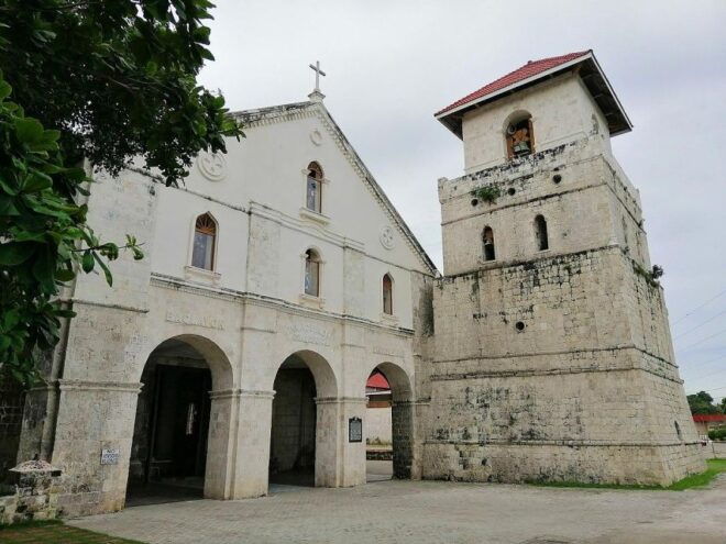 Bohol Day Tour From Cebu - Man-Made Forest
