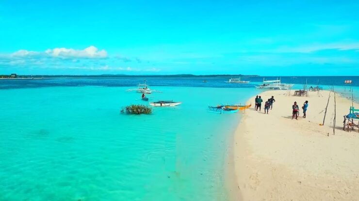 Bohol: Dolphin and Sea Turtle Watching Island Hopping Tour - Activity Details