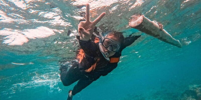 Bohol: Dolphin Watching & Balicasag Island Hopping Tour - Good To Know