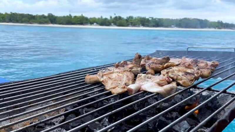 Bohol: Dolphin Watching & Snorkeling at Balicasag Island - Good To Know