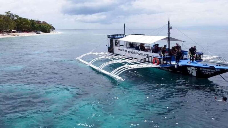 Bohol: Dolphin Watching & Snorkeling at Balicasag Island - Bohol: Dolphin Watching & Snorkeling at Balicasag Island — A Complete Guide