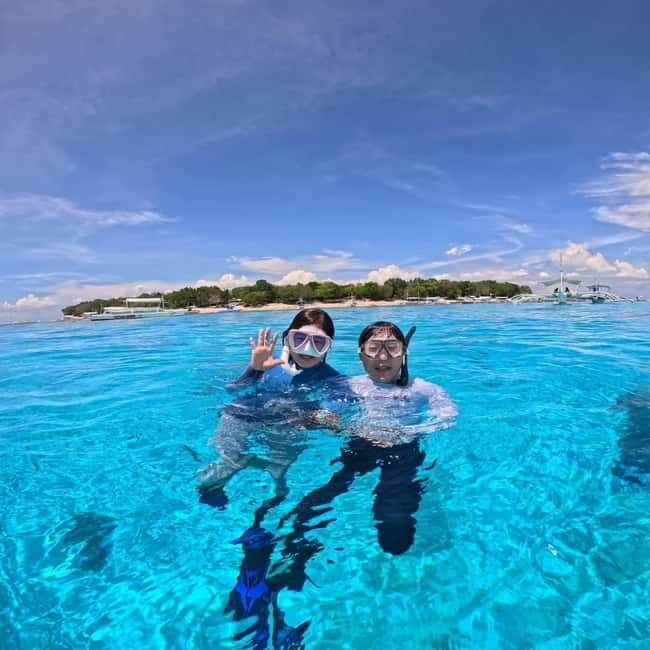 BOHOL: Dolphin Watching, Turtle Swim and Island Party - What Makes This Tour Stand Out?