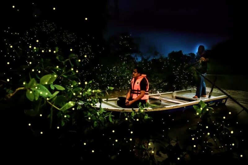 Bohol: Firefly Experience with Pickup - Good To Know