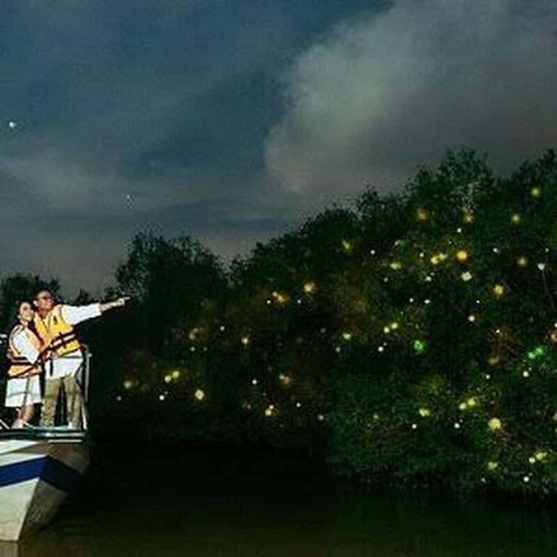 Bohol: Firefly Experience with Pickup - What The Experience Entails