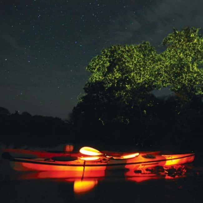 Bohol: Firefly Watching Shared Tour - Good To Know  