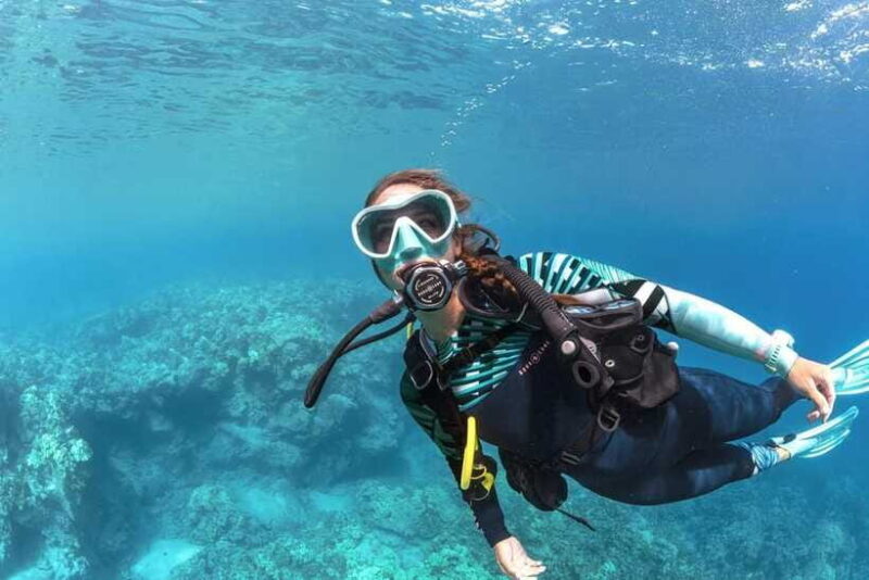 Bohol: First-Time Scuba Dive - No Experience Needed - Who Should Consider This Tour?