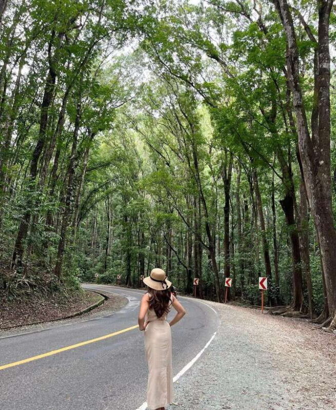 Bohol: Guided Chocolate Hills & Tarsiers Tour - Flexibility & Additional Options