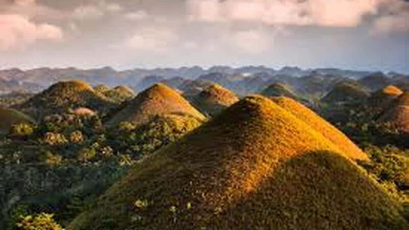 Bohol: Guided Chocolate Hills & Tarsiers Tour - FAQ