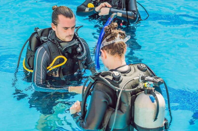 Bohol island: Fun dive local dive - Good To Know