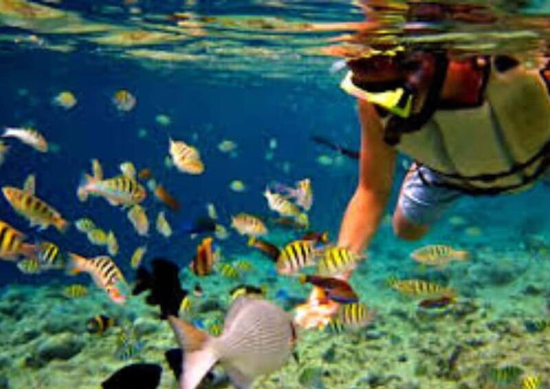 Bohol Island Hopping Tour - Good To Know