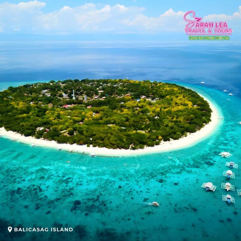 Bohol: Island Hopping with Dolphins, Turtles & Snorkeling - Practical Details and Tips