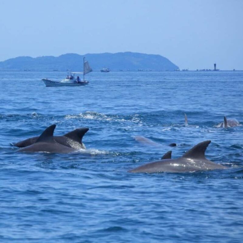 Bohol: Island Hopping with Snorkeling at Balicasag Island - Authentic Experiences: Pros and Cons