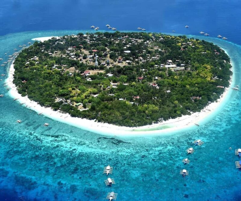 Bohol: Island Hopping with Snorkeling at Balicasag Island - Who Is This Tour Best For?