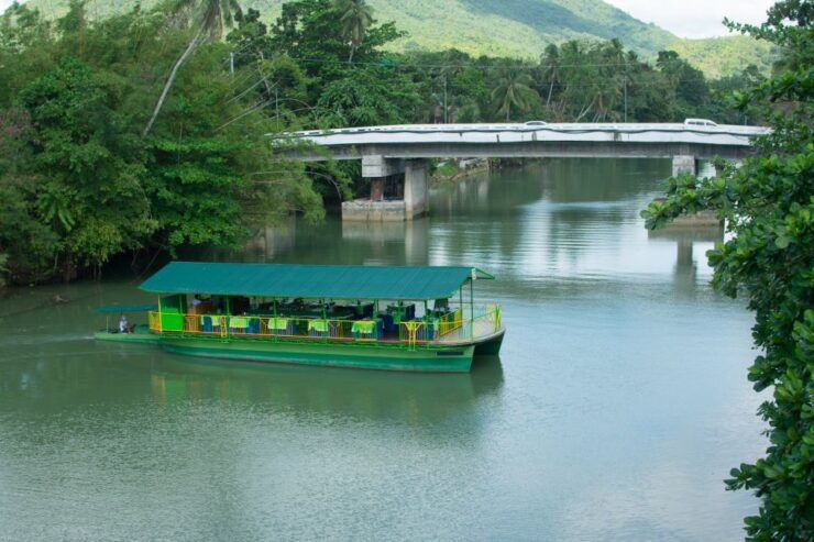 Bohol: Loboc River Buffet-Lunch Cruise With Private Transfer - Reviews