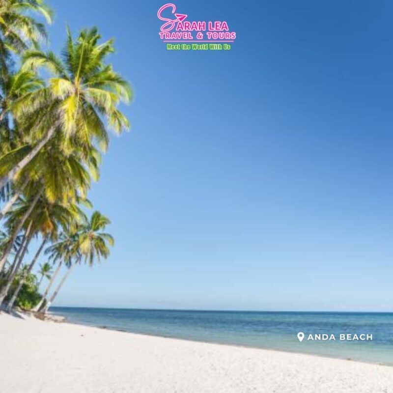 Bohol: Nature Discovery & Coastal Adventure Experience - Final Thoughts