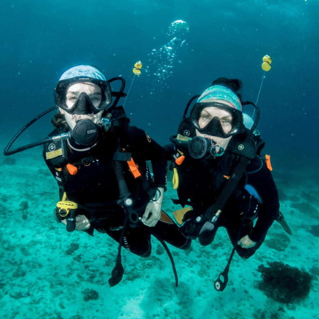 Bohol: Pamilacan Island Fun Dive Experience! - Good To Know