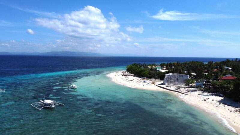 Bohol PAMILACAN Island Turtle & Dolphin Watching - Good To Know