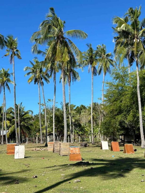 Bohol PAMILACAN Island Turtle & Dolphin Watching - The Sum Up